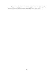 Valstybės užimtumo politika Lietuvoje 14 puslapis