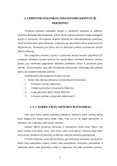 Valstybės užimtumo politika Lietuvoje 4 puslapis