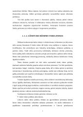 Valstybės užimtumo politika Lietuvoje 6 puslapis