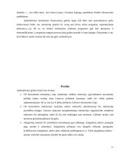 Valstybinių institucijų administravimas: Lietuvos Respublikos (LR) Susisiekimo ministerija 15 puslapis