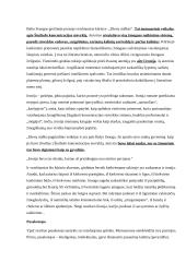 Kalbėjimo segtuvas 7 puslapis