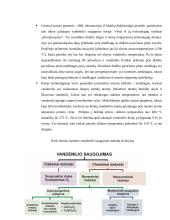 Vandenilis, vandenilio privalumai bei panaudojimas 6 puslapis