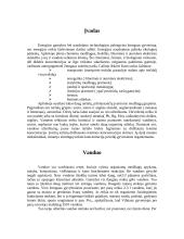 Vandens ir dirvožemio tarša 2 puslapis