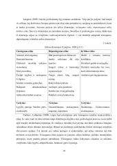 Socialinio darbuotojo, dirbančio vaikų globos namuose, etinės kompetencijos raiška 17 puslapis