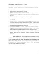 Paauglių bendravimo poreikių tenkinimo galimybės mokykloje 4 puslapis