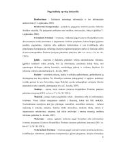 Paauglių bendravimo poreikių tenkinimo galimybės mokykloje 5 puslapis