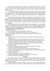 Vandens svarba gyvybei 3 puslapis