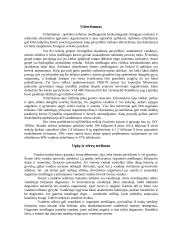 Vandens svarba gyvybei: vandens užterštumas 3 puslapis