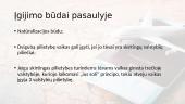 Dvigubos pilietybės problema 4 puslapis