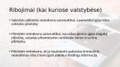 Dvigubos pilietybės problema 5 puslapis