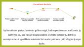 Tyrimas „Mokytojo profesija – ar lengva būti mokytoju“ 17 puslapis
