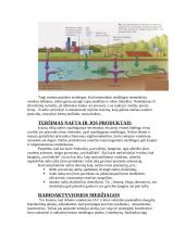 Vandens užterštumas 3 puslapis