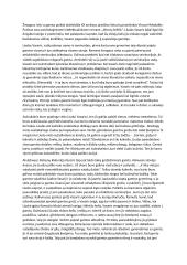 Liudo ryšys su gamta