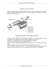 Vandens valdymo technologijos 3 puslapis