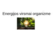 Energijos virsmai organizme. Skaidrės