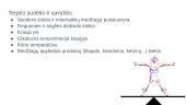 Skaidrės. Homeostazė 4 puslapis