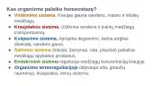 Skaidrės. Homeostazė 5 puslapis
