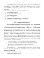 VaR ir konsultantų pasirinkimas 11 puslapis