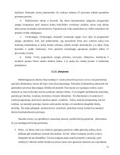 VaR ir konsultantų pasirinkimas 13 puslapis