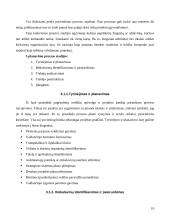 VaR ir konsultantų pasirinkimas 10 puslapis