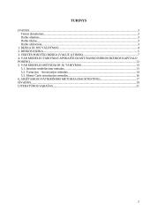 VaR modelis rinkos rizikos valdymui 2 puslapis