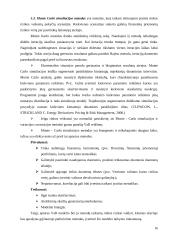 VaR modelis rinkos rizikos valdymui 16 puslapis