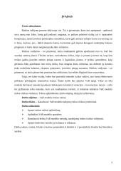 VaR modelis rinkos rizikos valdymui 3 puslapis