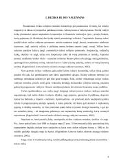 VaR modelis rinkos rizikos valdymui 4 puslapis