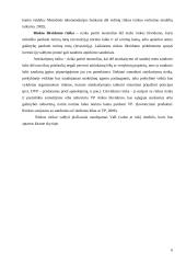 VaR modelis rinkos rizikos valdymui 6 puslapis