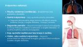 Kvėpavimo organų sistema (skaidrės) 5 puslapis