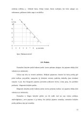 Vartotojo elgsena bei prekių paklausa 13 puslapis