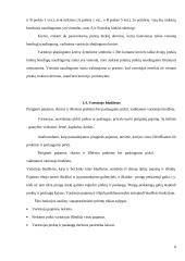 Vartotojo elgsena bei prekių paklausa 8 puslapis