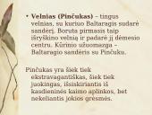 K. Boruta. Baltaragio malūnas 19 puslapis