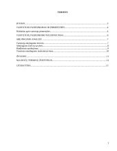 Vartotojo elgsena: abejingumo teorija 2 puslapis