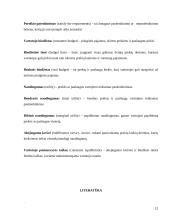 Vartotojo elgsena: abejingumo teorija 12 puslapis