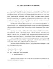 Vartotojo elgsena: abejingumo teorija 6 puslapis