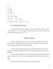 Vartotojo elgsena: abejingumo teorija 9 puslapis