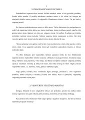 Vegetarizmo sukeliamos pasekmės žmogaus organizmui 5 puslapis