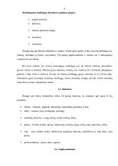 Vegetarizmo sukeliamos pasekmės žmogaus organizmui 6 puslapis