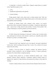 Vegetarizmo sukeliamos pasekmės žmogaus organizmui 7 puslapis