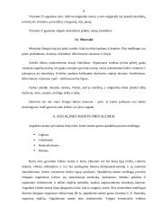 Vegetarizmo sukeliamos pasekmės žmogaus organizmui 8 puslapis