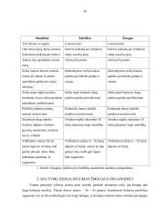 Vegetarizmo sukeliamos pasekmės žmogaus organizmui 10 puslapis