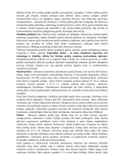 Balso aparato ypatumai. Balso fiziologija, balso savybės 11 puslapis