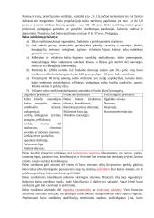 Balso aparato ypatumai. Balso fiziologija, balso savybės 3 puslapis