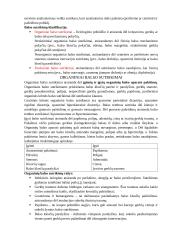 Balso aparato ypatumai. Balso fiziologija, balso savybės 4 puslapis