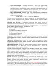 Balso aparato ypatumai. Balso fiziologija, balso savybės 6 puslapis