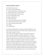 Veidrodėlių apšildymas: "Renault 19" 5 puslapis