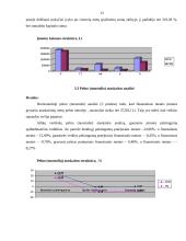 Veiklos ekonominis įvertinimas: UAB "Jonavos autobusai" 13 puslapis