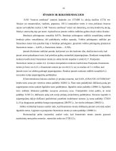 Veiklos ekonominis įvertinimas: UAB "Jonavos autobusai" 14 puslapis