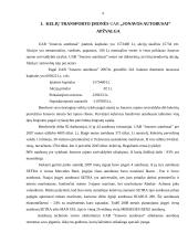 Veiklos ekonominis įvertinimas: UAB "Jonavos autobusai" 4 puslapis